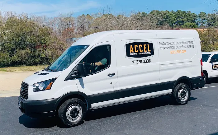 Accel Pest & Termite Control Picture 4