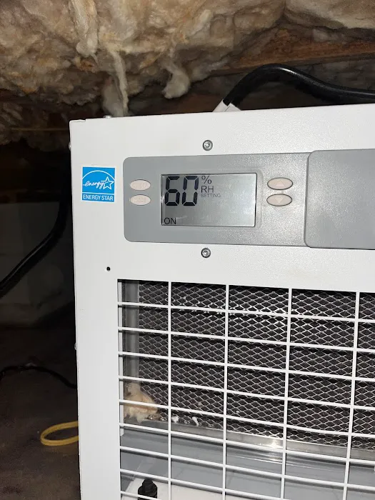Accel Pest & Termite Control Picture 6