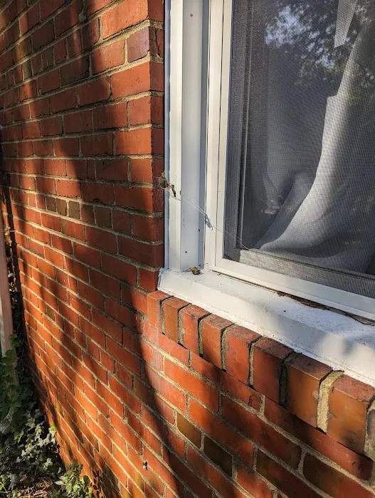 EcoShield Pest Solutions Picture 1