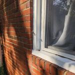 EcoShield Pest Solutions
