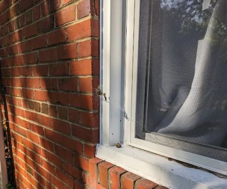 EcoShield Pest Solutions