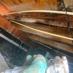 Indeed Pest Solutions