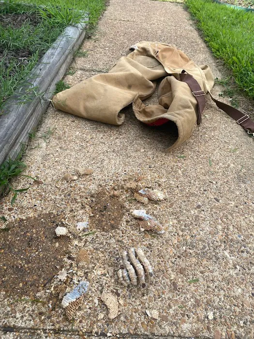 Indeed Pest Solutions Picture 3