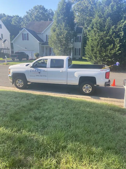 Indeed Pest Solutions Picture 6