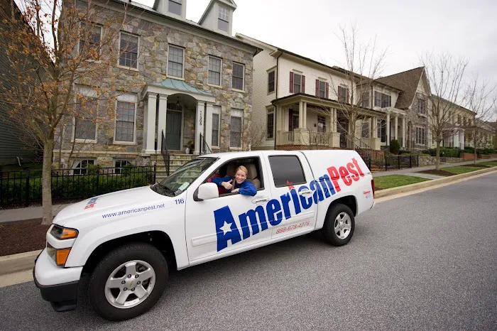 American Pest Picture 6