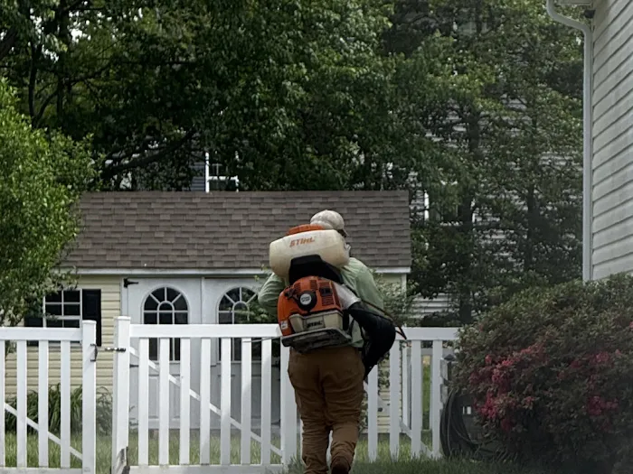 GreenShield Home & Pest Solutions Picture 3