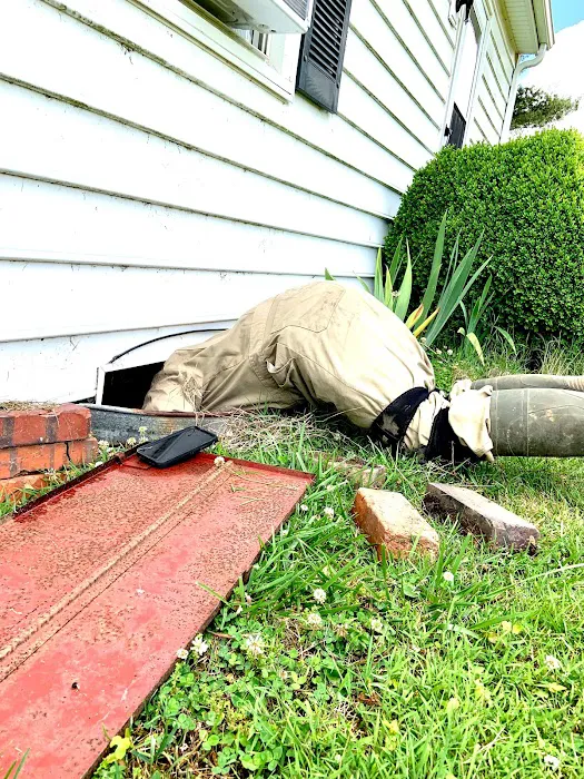 PermaTreat Pest & Termite Control Picture 2