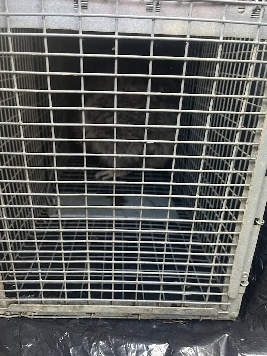 Bradford Pest Control of VA Picture 9