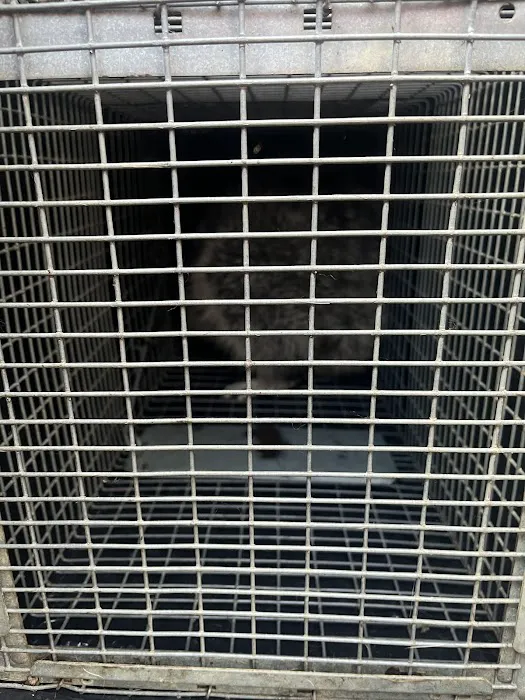 Bradford Pest Control of VA Picture 6