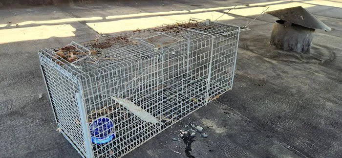 Bradford Pest Control of VA Picture 7