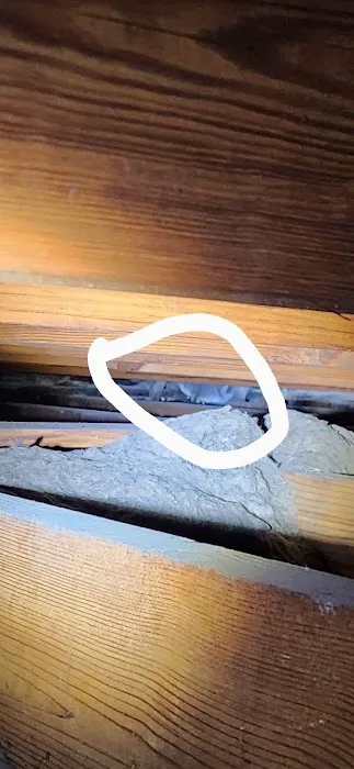 Bradford Pest Control of VA Picture 8