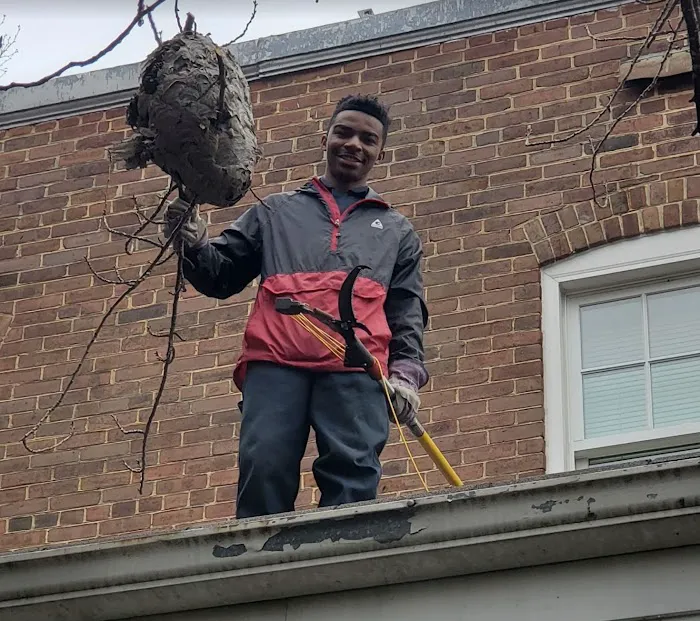 Bradford Pest Control of VA Picture 4