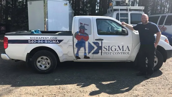 Pest Proof Pest Management (Sigma Pest Control) Picture 10