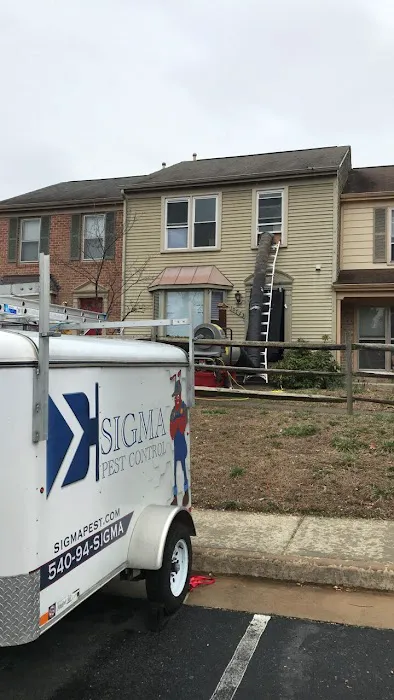 Pest Proof Pest Management (Sigma Pest Control) Picture 9