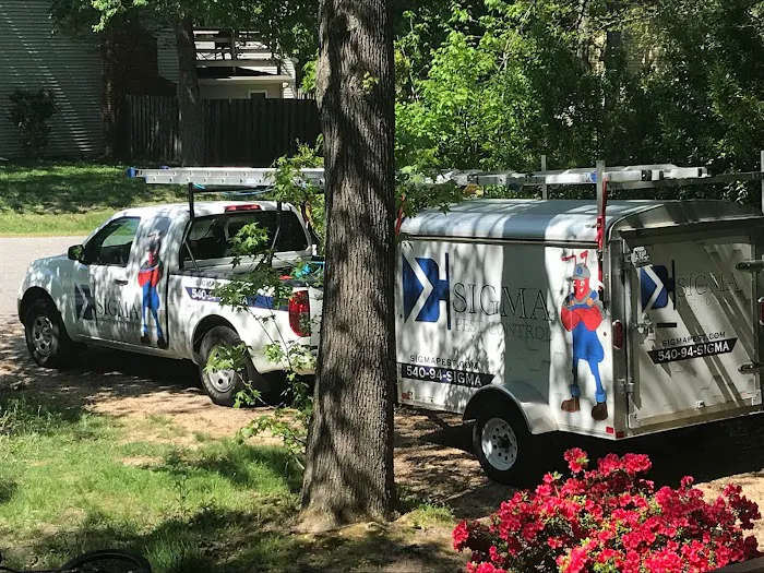 Pest Proof Pest Management (Sigma Pest Control) Picture 4