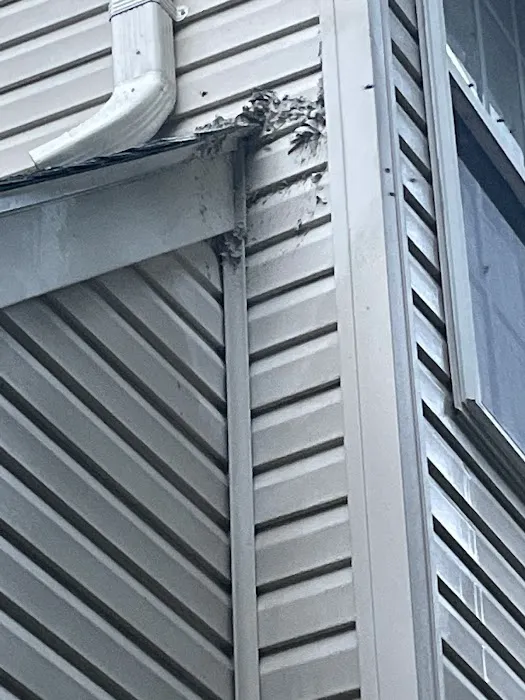 Go-Forth Pest Control Picture 8