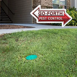 Go-Forth Pest Control Picture 9