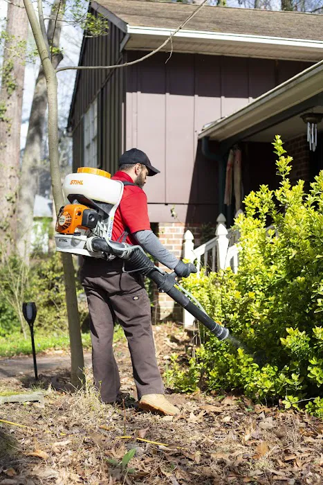 Go-Forth Pest Control Picture 2