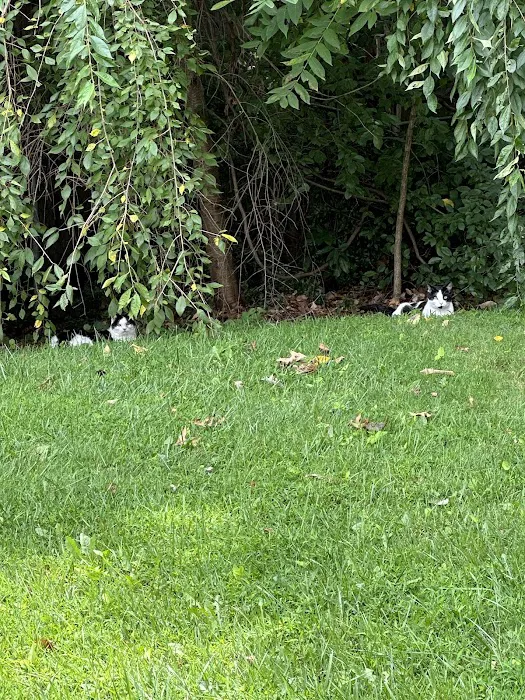 Go-Forth Pest Control Picture 6