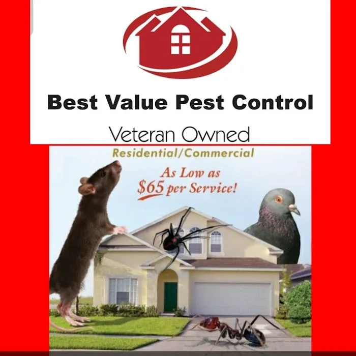 Best Value Pest Control Picture 2