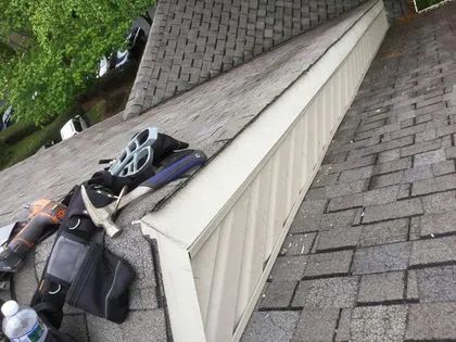 Xceptional Wildlife Removal Picture 1