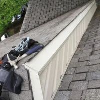 Xceptional Wildlife Removal ico