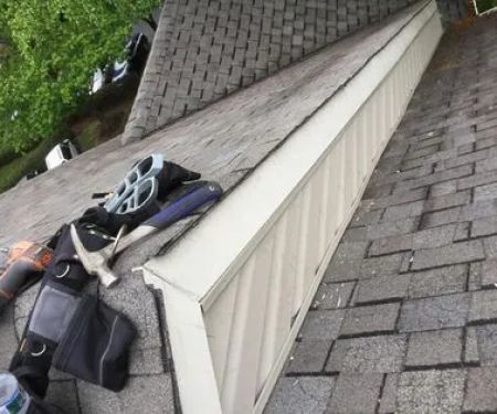 Xceptional Wildlife Removal