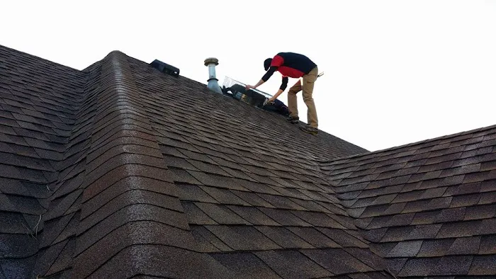Xceptional Wildlife Removal Picture 4
