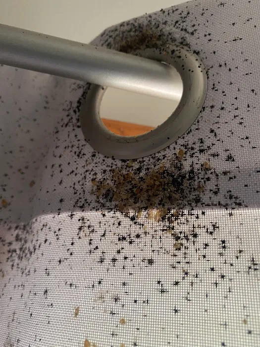 Xceptional Wildlife Removal Picture 7
