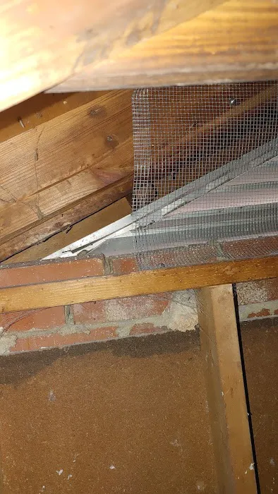 Home Paramount Pest Control Picture 5