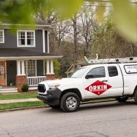 Orkin ico