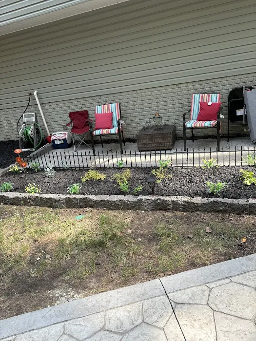 Orkin Picture 8