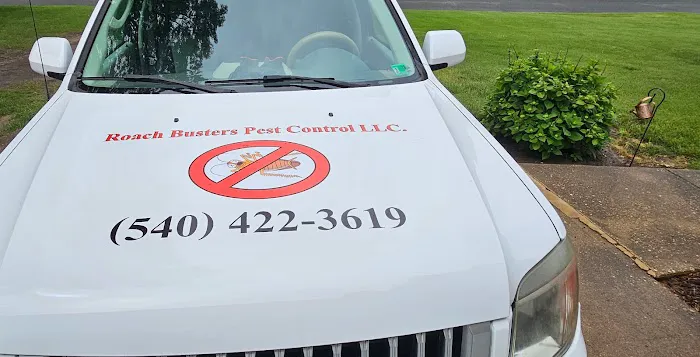 Roach Busters Pest Control LLC Picture 1