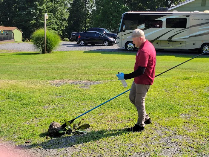 That Bug Guy pest control Picture 9