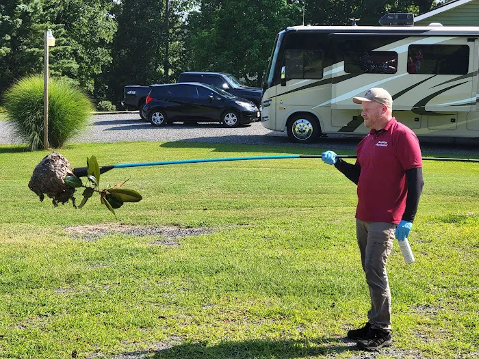 That Bug Guy pest control Picture 1