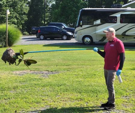 That Bug Guy pest control