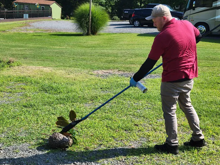 That Bug Guy pest control Picture 8