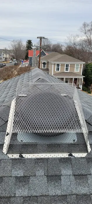 Summit Wildlife Removal Picture 9