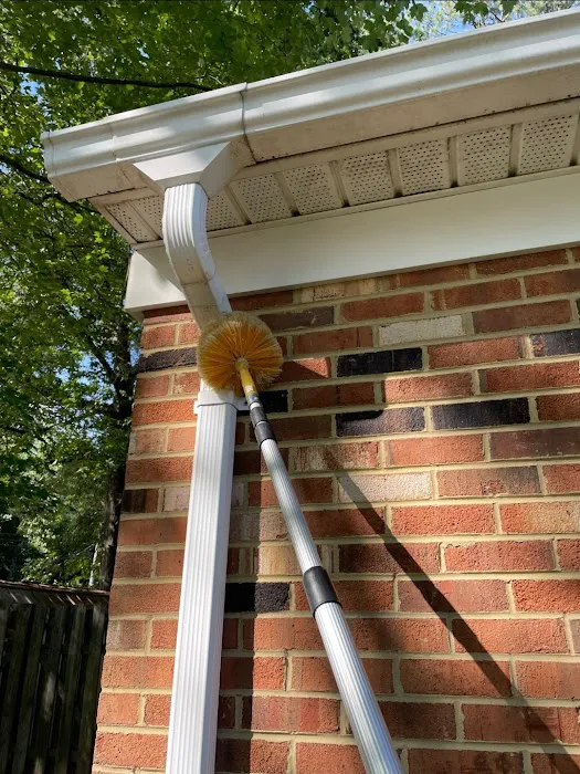 ProForce Pest Control - Virginia Beach Picture 5