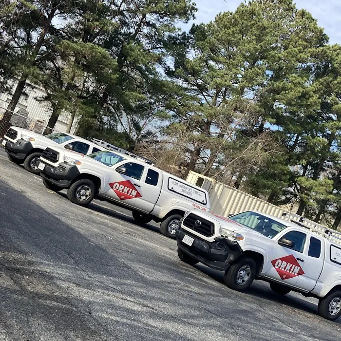 Orkin Picture 10