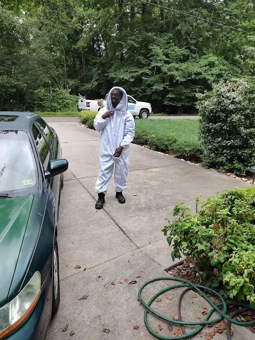 Moxie Pest Control Picture 4