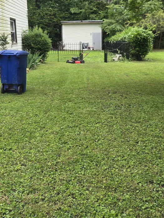 Moxie Pest Control Picture 1