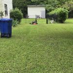 Moxie Pest Control