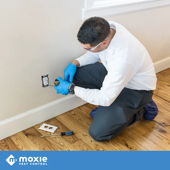 Moxie Pest Control Picture 2