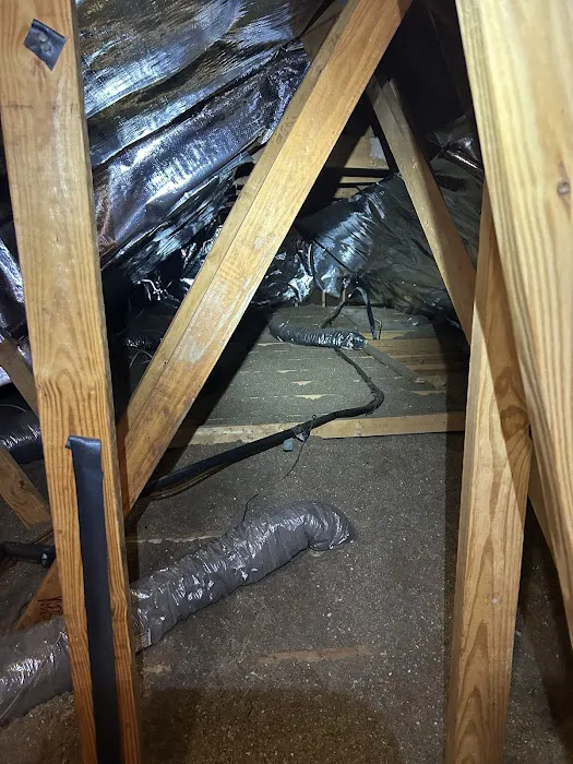 Moxie Pest Control Picture 5