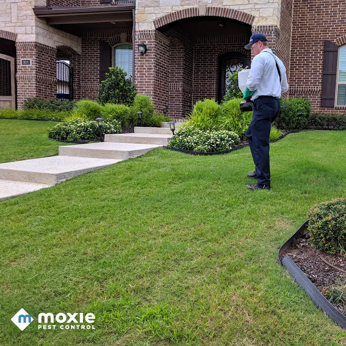 Moxie Pest Control Picture 3