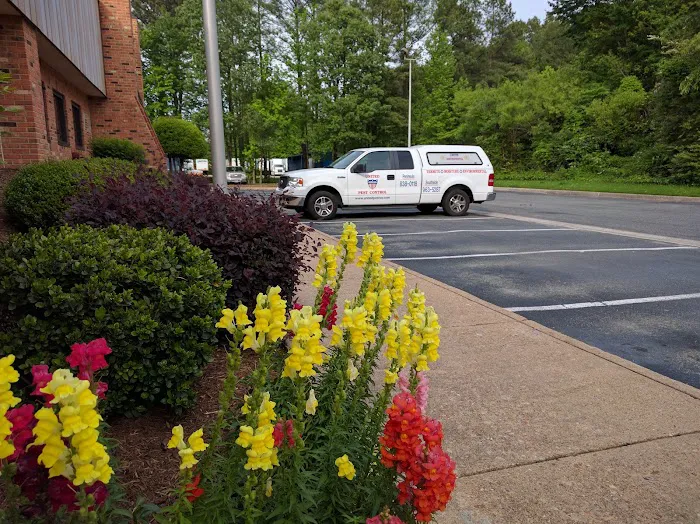 United Pest Control Picture 6