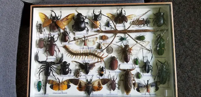 United Pest Control Picture 7