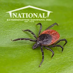 National Exterminating Company Inc Picture 8