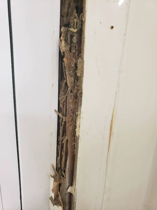 National Exterminating Company Inc Picture 10